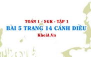 Bài 5 trang 14 Toán 12 tập 1 Cánh Diều